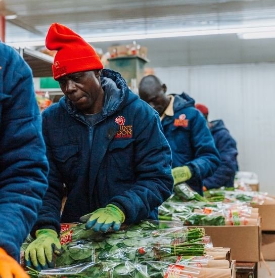 Untitled design (82)